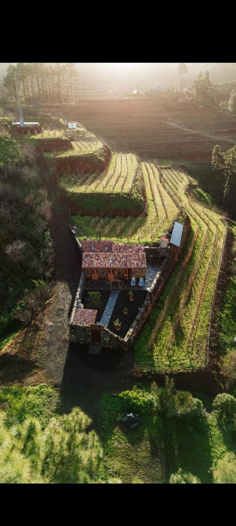 Finca Hortensia El Castillo  Екстериор снимка